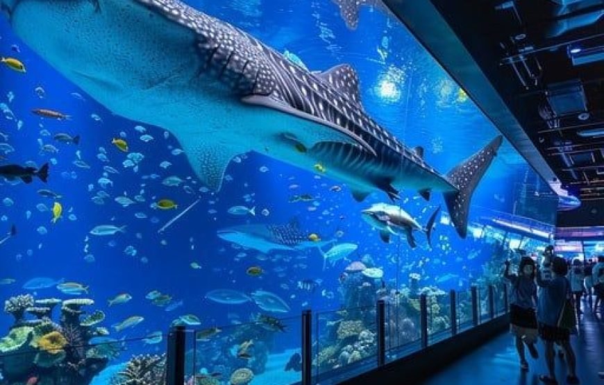 Grand Aquarium