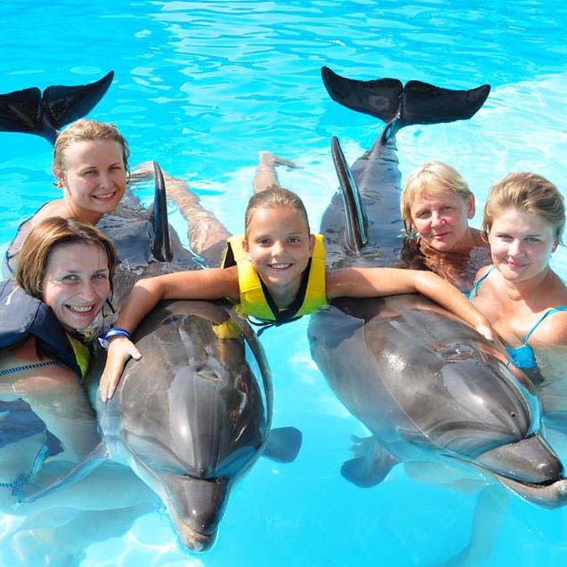 swim-with-dolphins-activity-sharm